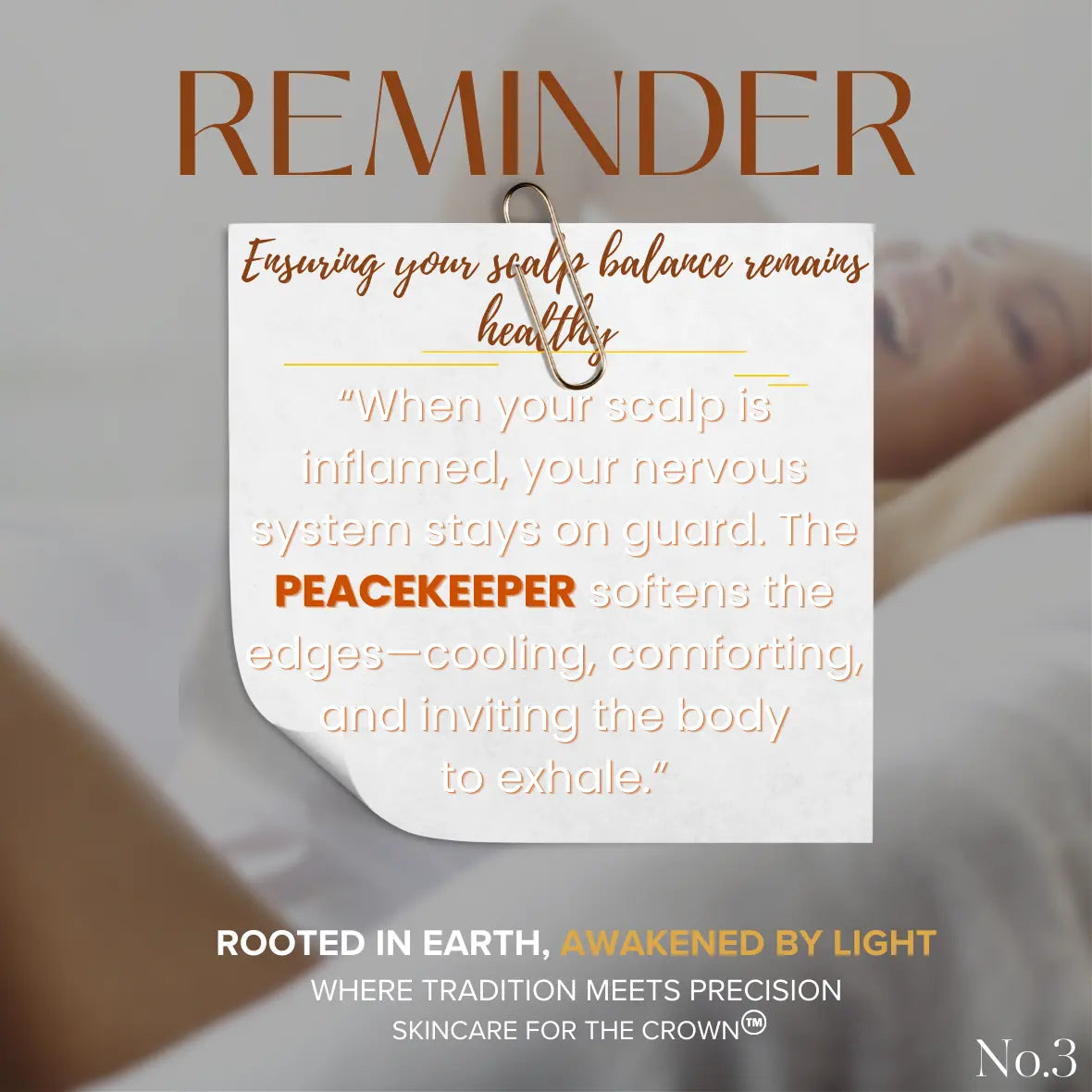 Raíz & Rayo 30ml / 1 oz Travel + Sample Size Collection Raiz & Rayo